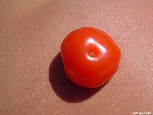 pomidor i jego cień...