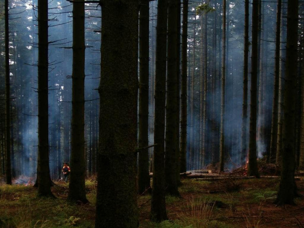 Beskid Śląski; pod Równicą; tak wygląda obecność człowieka w lesie... #góry #Beskidy #Śląski #szlak #Równica #człowiek
