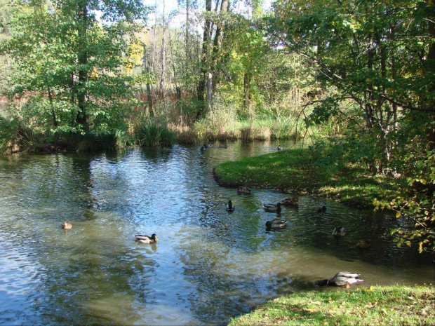 Pażdziernik 2007