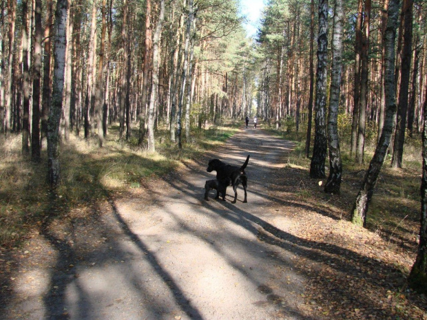 Jesienny poniedziałek