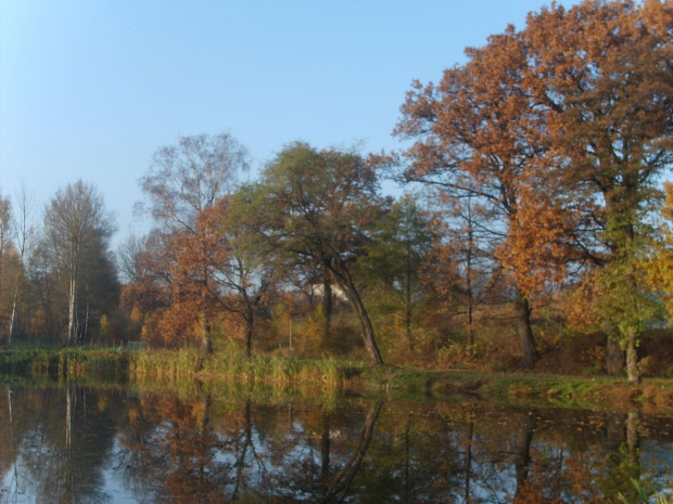 Staw w Chlebnej jesienią