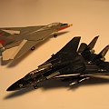 F-14A Tomcat VX-4 oraz VF-1