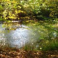 jesienny spacer - Żyrardów /Polska/ #krajobrazy #miejsca #natura #przyroda