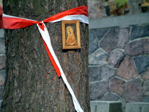 Rossa cmentarzyk wojskowy.Drzewo nieopodal plyty nagrobnej marszalka. #RossaCmentarz