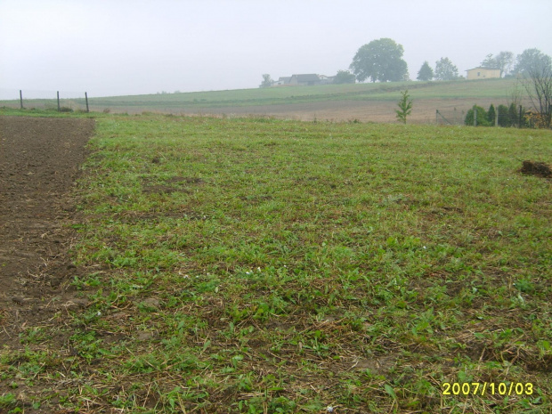 działka