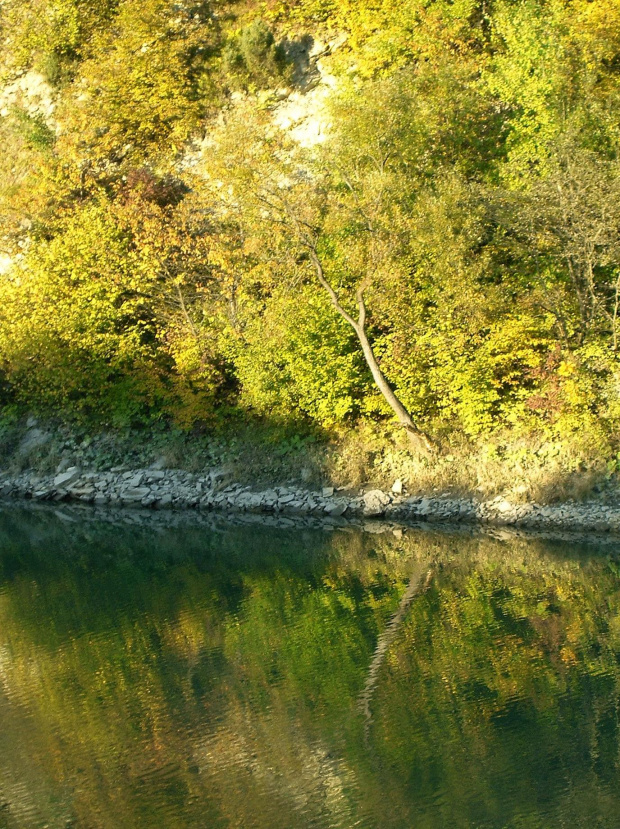 Bieszczady-urodziny autora