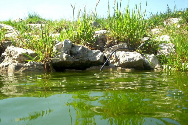 Może wygląda to inaczej, jadnak to jest zwyczajne, małe oczko wodne #woda #jezioro #jeziora #natura