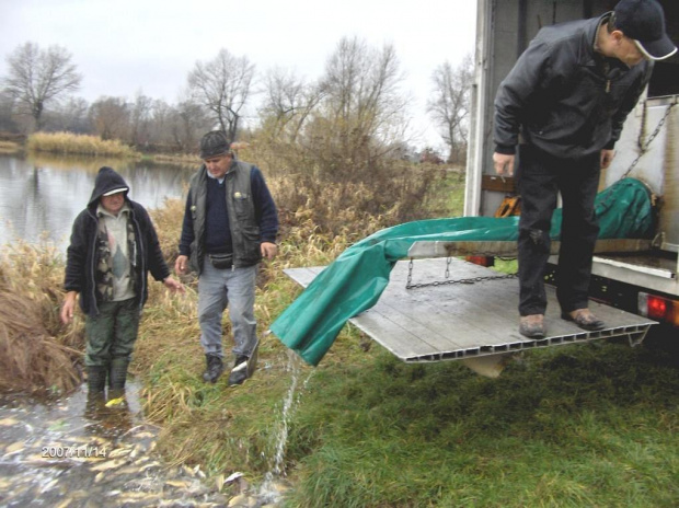 ZARYBIANIE 2007 PRZEZ KOŁO PZW ODRA WROCŁAW