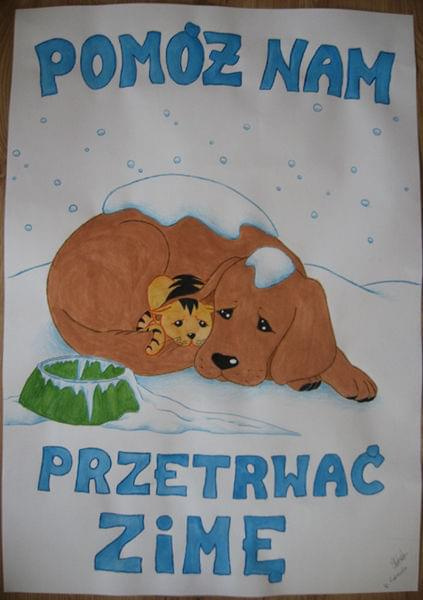 plakat dla TOZu