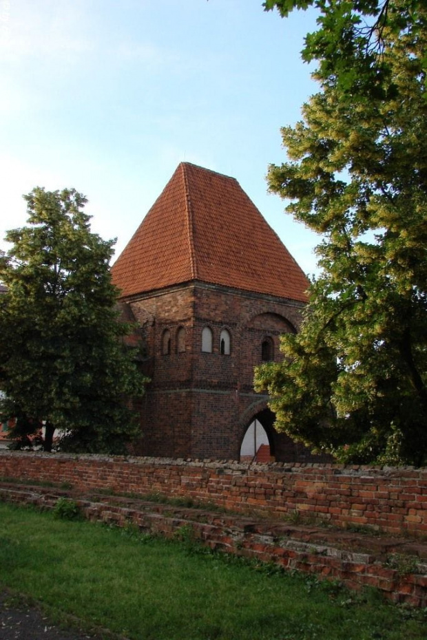 Zamek Krzyżacki w Toruniu #zamki