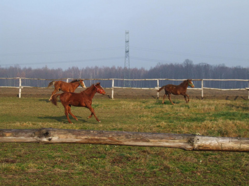 biegnę do Ciebie Mamusiu :)