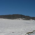 Lasy i śnieg na zboczach Lubonia