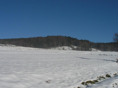 Lasy i śnieg na zboczach Lubonia