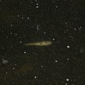 kosmiczna rybka #zima #rzeka #ryba