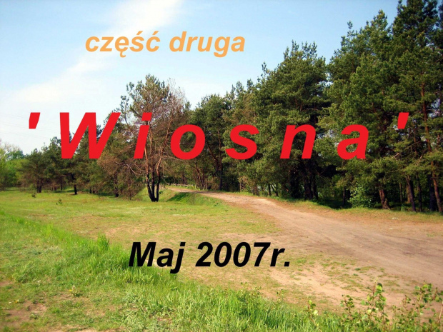 Droga prowadzi z Ostrołęki do Dzbenina