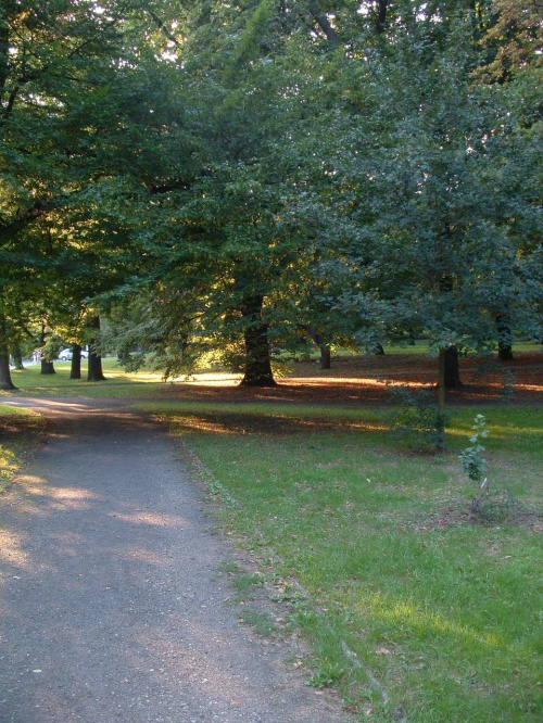 Park Żermoskiego