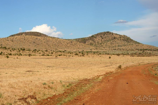 Miły oku krajobrazik z parku Masai Mara