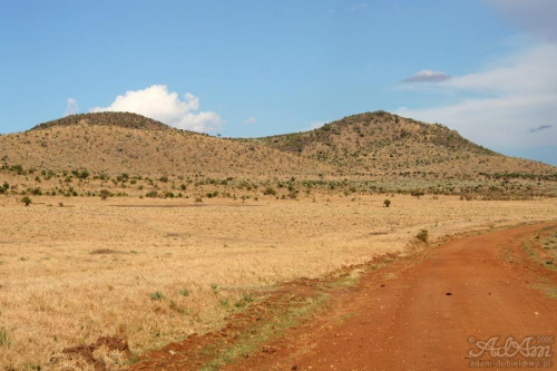Miły oku krajobrazik z parku Masai Mara