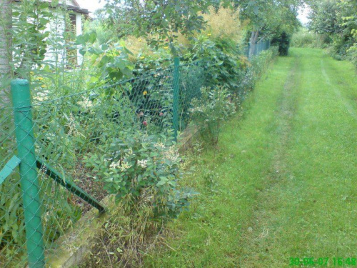 Zdjęcie zrobione komórką K800i