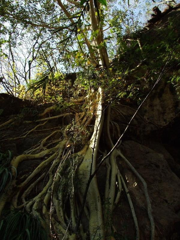 Grutas de Cacahuamilpa (Guerrero, Mexico) #GrutasDeCacahuamilpa