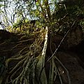 Grutas de Cacahuamilpa (Guerrero, Mexico) #GrutasDeCacahuamilpa