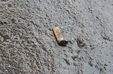 Urok wrocławskich przystanków i ulic #wrocław #ulice #przystanek #pet #papieros #śmieci #śmieć