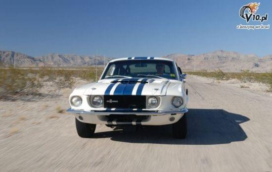 Mustang Cobra GT500 Super Snake z 1967 #MustangCobraGT500SuperSnake