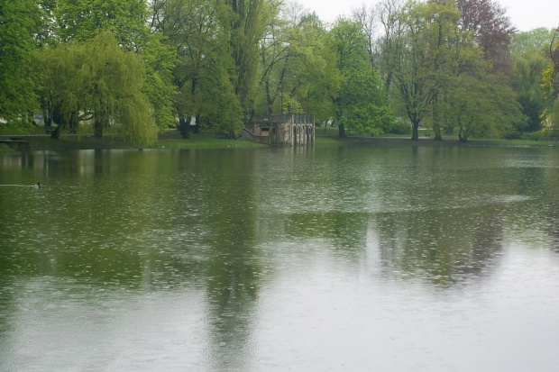 Park Racibórz deszcz