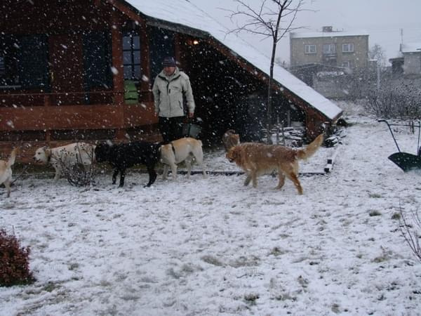 27 stycznia 2008 - Aleksandria k/Częstochowy