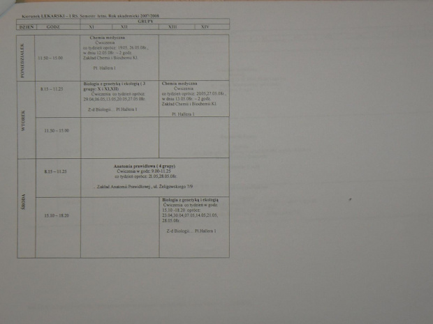 Plan zajęć - I rok WWL, 2007/2008, semestr II letni