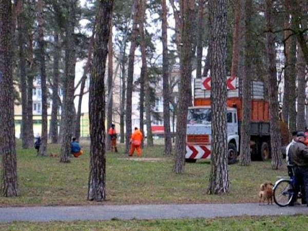 Porządkowanie parku przed nadajściem zimy