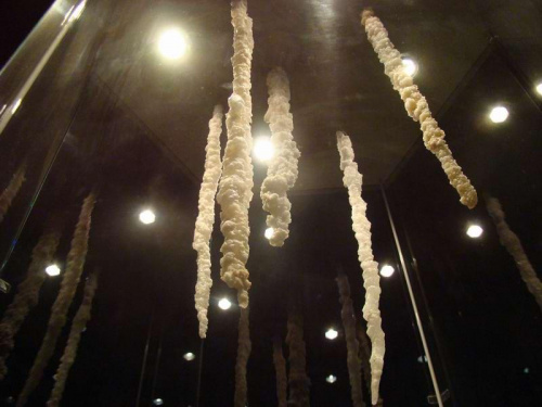 makarony solne -ekspozycja muzealna