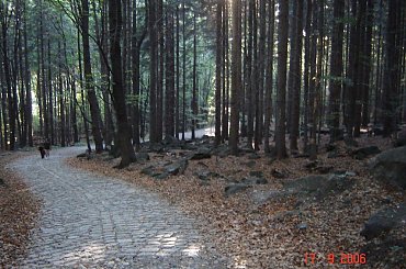 Sleza. Od nazwy tej gory nazwe wzielo plemie slezan, a od plemienia nazwa kraju Slask. #Sobotka #Sleza #Slask #Silesia #DolnySlask