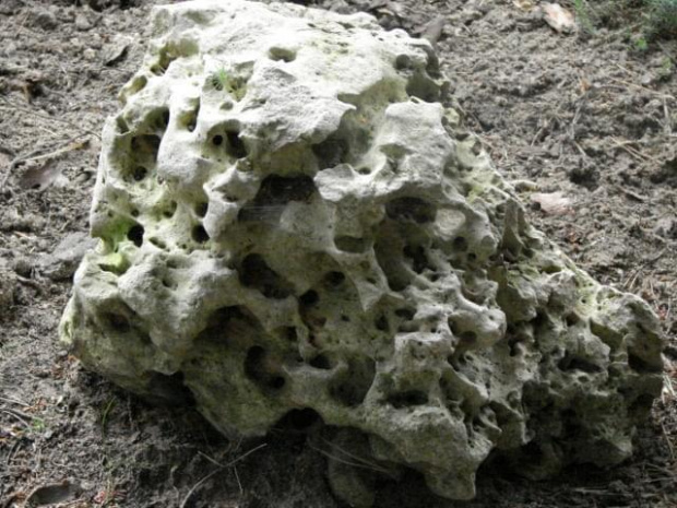 #natura #opole #turawa #kamień