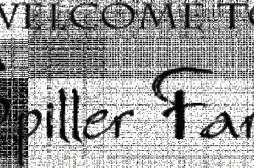 Work and Travel, work, travel, USA, Praca w USA, www.jobster.pl, Foster, Wakacje, Australia, #WorkAndTravel #work #travel #USA #PracaWUSA #Foster #Wakacje #Australia