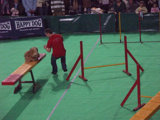 agility