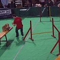 agility