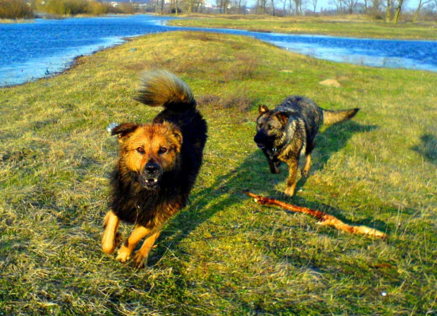 Leon i Dżina galop!!