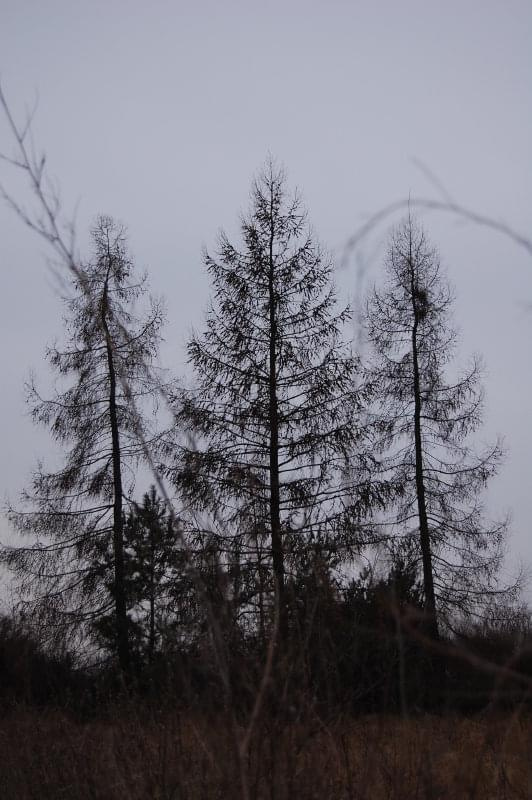 Miał być piękny wschód słońca, ale słońce tego nie wiedziało.