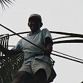 Mieszkaniec Sri Lanki, który wszedł na palmę, aby zlać arak, którym nas poczęstował( nie smakowało nam:)
