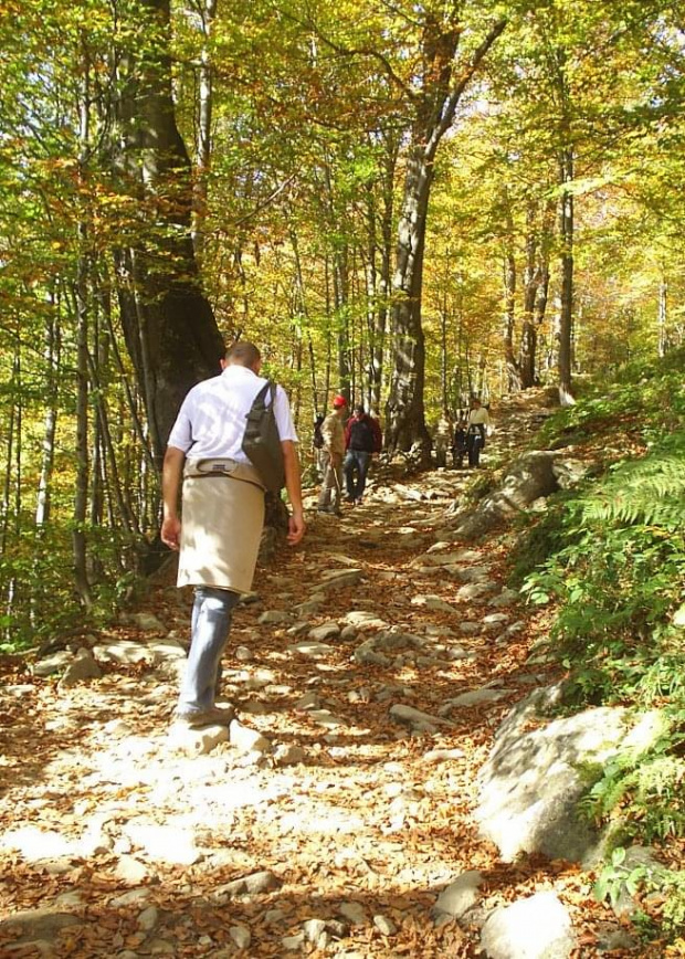 Góry Bieszczady jesienią