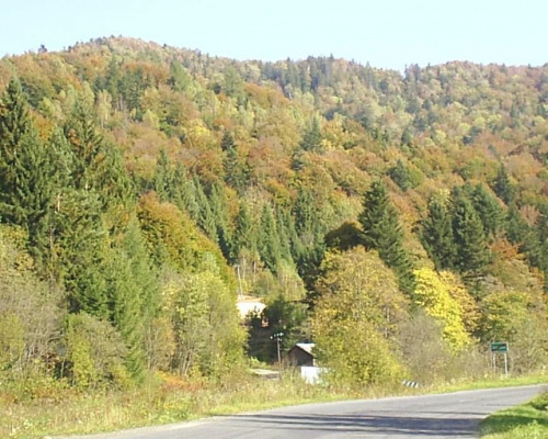 Góry Bieszczady jesienią