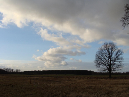 Widok nieba nad Bobrem #NieboChmury