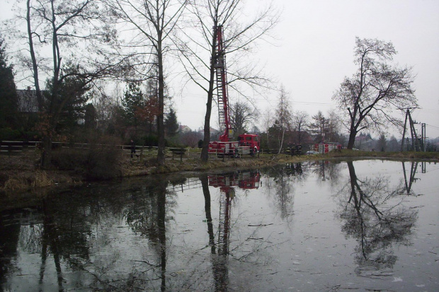 Przycinka drzew nad stawem salinarnym