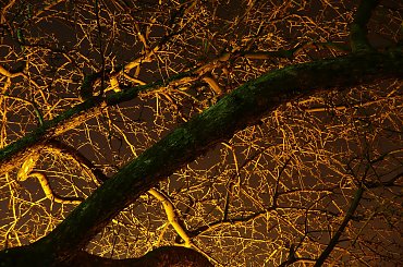 #Warszawa #Noc #Zamek #MałyPowstaniec #Syrenka