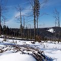 Widok_na_Wielki_Stożek_z_Kiczor_w_tle_Javorovy #góry #krajobraz #pieszo #beskid