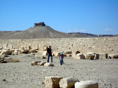Palmyra #turystyka