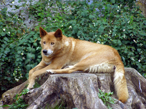 ogród zoologiczny w Łodzi