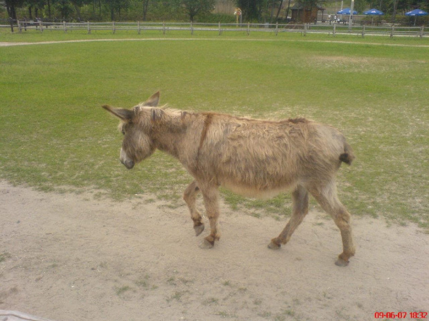 Piękno i przyroda