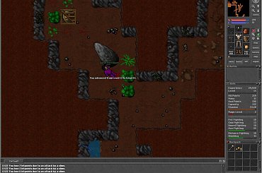 #Tibia